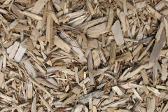 biomass boilers Pitreuchie